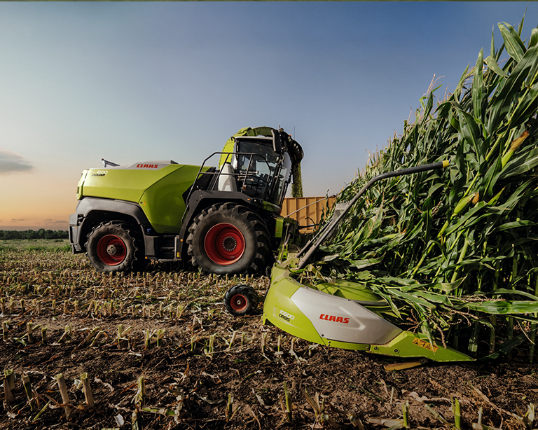 Sieczkarnia samojezdna CLAAS JAGUAR podczas zbioru kukurydzy na kiszonkę