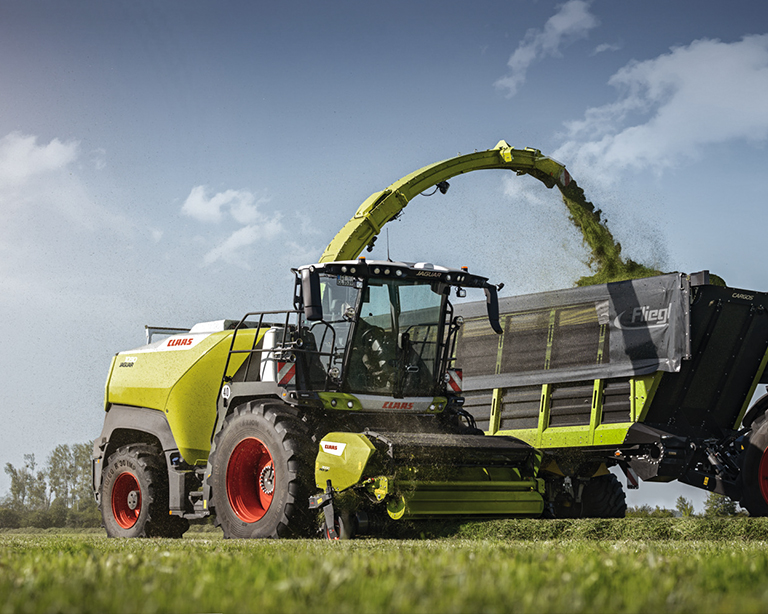 Sieczkarnia polowa CLAAS JAGUAR podczas zbioru zielonki – finansowanie fabryczne 0% do 4 lat